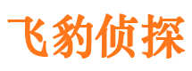 延长市侦探调查公司